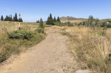 Bulgaristan 'ın Vitosha Dağı' nın sonbahar manzarası