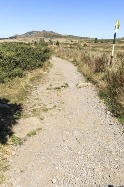 Bulgaristan 'ın Vitosha Dağı' nın sonbahar manzarası
