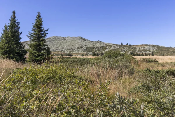 Podzimní pohled na horu Vitosha, Bulharsko — Stock fotografie