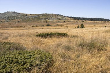 Bulgaristan 'ın Vitosha Dağı' nın sonbahar manzarası