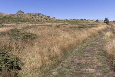 Bulgaristan 'ın Vitosha Dağı' nın sonbahar manzarası