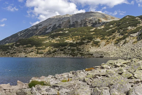 Lago Banderitsa de peixes na Montanha Pirin, Bulgária — Fotografia de Stock