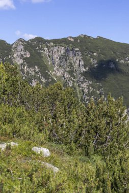 Malyoviska nehir Vadisi, Rila Dağı, Bulgaristan
