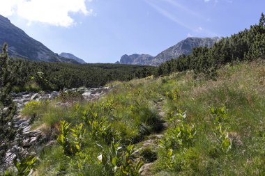 Malyoviska nehir Vadisi, Rila Dağı, Bulgaristan