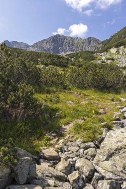 Deve (Kamilata) zirvesi, Rila Dağı, Bulgaristan