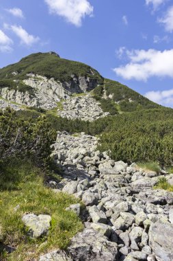 Malyoviska nehir Vadisi, Rila Dağı, Bulgaristan