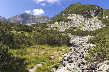 Deve (Kamilata) zirvesi, Rila Dağı, Bulgaristan