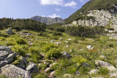 Deve (Kamilata) zirvesi, Rila Dağı, Bulgaristan