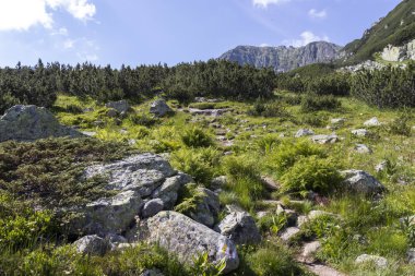 Deve (Kamilata) zirvesi, Rila Dağı, Bulgaristan