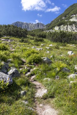 Deve (Kamilata) zirvesi, Rila Dağı, Bulgaristan