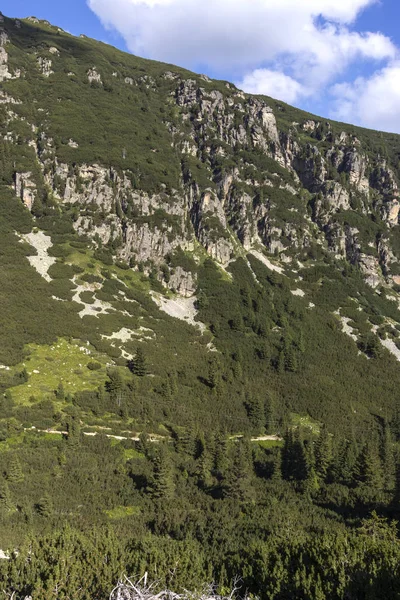 Valle del río Malyoviska, Montaña Rila, Bulgaria —  Fotos de Stock