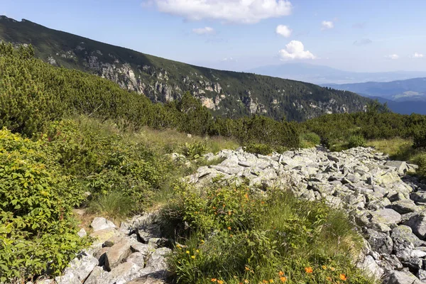 Malyoviska nehir Vadisi, Rila Dağı, Bulgaristan — Stok fotoğraf