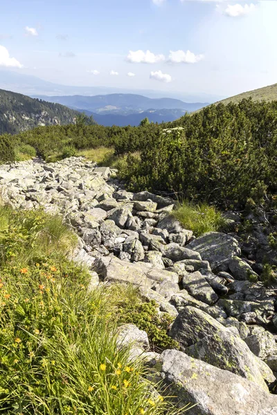 Malyoviska nehir Vadisi, Rila Dağı, Bulgaristan