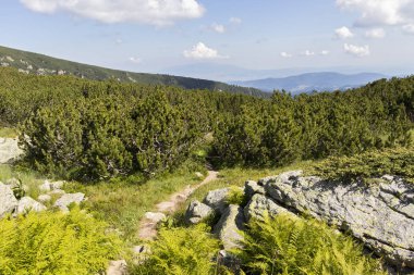 Deve tepesi çevresindeki yeşil tepeler, Rila Dağı, Bulgaristan