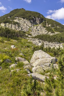 Deve tepesi çevresindeki yeşil tepeler, Rila Dağı, Bulgaristan