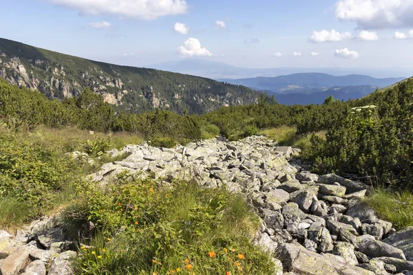 Deve tepesi çevresindeki yeşil tepeler, Rila Dağı, Bulgaristan — Stok fotoğraf
