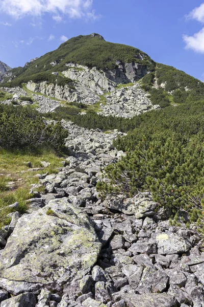 Colinas verdes em torno do pico do camelo, Rila Mountain, Bulgária — Fotografia de Stock