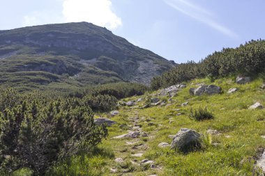 Deve tepesi çevresindeki yeşil tepeler, Rila Dağı, Bulgaristan