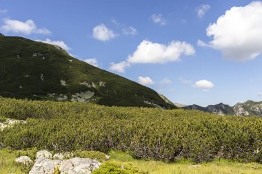 Deve tepesi çevresindeki yeşil tepeler, Rila Dağı, Bulgaristan