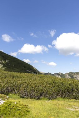 Deve tepesi çevresindeki yeşil tepeler, Rila Dağı, Bulgaristan
