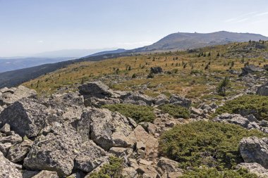Bulgaristan 'ın Vitosha Dağı' nın sonbahar manzarası