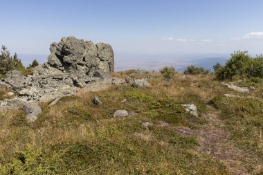 Bulgaristan 'ın Vitosha Dağı' nın sonbahar manzarası