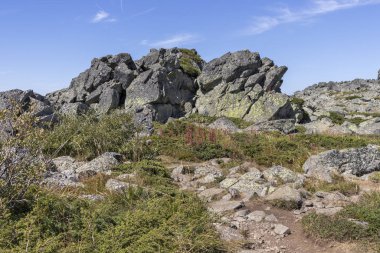Bulgaristan 'ın Vitosha Dağı' nın sonbahar manzarası
