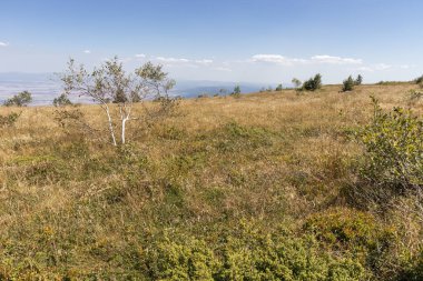 Bulgaristan 'ın Vitosha Dağı' nın sonbahar manzarası