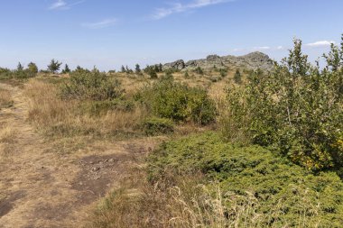 Bulgaristan 'ın Vitosha Dağı' nın sonbahar manzarası
