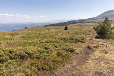 Bulgaristan 'ın Vitosha Dağı' nın sonbahar manzarası