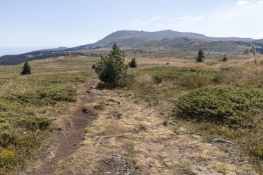 Bulgaristan 'ın Vitosha Dağı' nın sonbahar manzarası