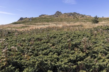 Bulgaristan 'ın Vitosha Dağı' nın sonbahar manzarası