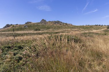 Bulgaristan 'ın Vitosha Dağı' nın sonbahar manzarası