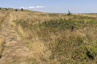 Bulgaristan 'ın Vitosha Dağı' nın sonbahar manzarası
