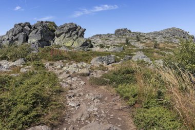Bulgaristan 'ın Vitosha Dağı' nın sonbahar manzarası