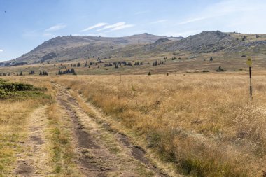 Bulgaristan 'ın Vitosha Dağı' nın sonbahar manzarası