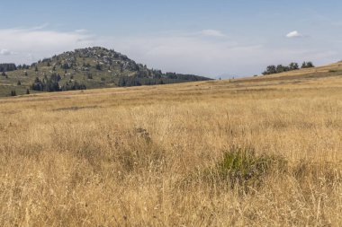 Bulgaristan 'ın Vitosha Dağı' nın sonbahar manzarası