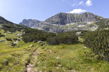 Deve tepesi yakınlarındaki manzara, Rila Dağı, Bulgaristan