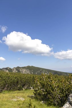 Deve tepesi yakınlarındaki manzara, Rila Dağı, Bulgaristan