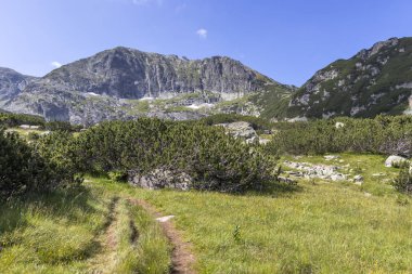 Deve tepesi yakınlarındaki manzara, Rila Dağı, Bulgaristan