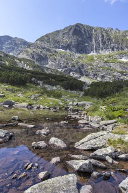 Deve tepesi yakınlarındaki manzara, Rila Dağı, Bulgaristan