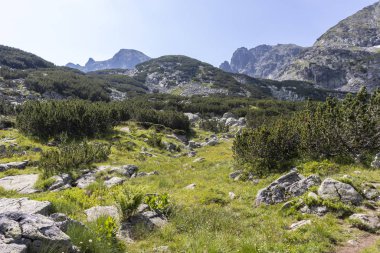 Deve tepesi yakınlarındaki manzara, Rila Dağı, Bulgaristan