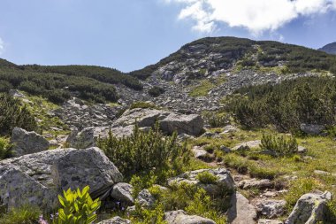 Deve tepesi yakınlarındaki manzara, Rila Dağı, Bulgaristan