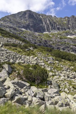 Deve tepesi yakınlarındaki manzara, Rila Dağı, Bulgaristan