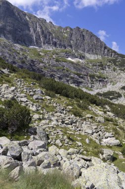 Deve tepesi yakınlarındaki manzara, Rila Dağı, Bulgaristan