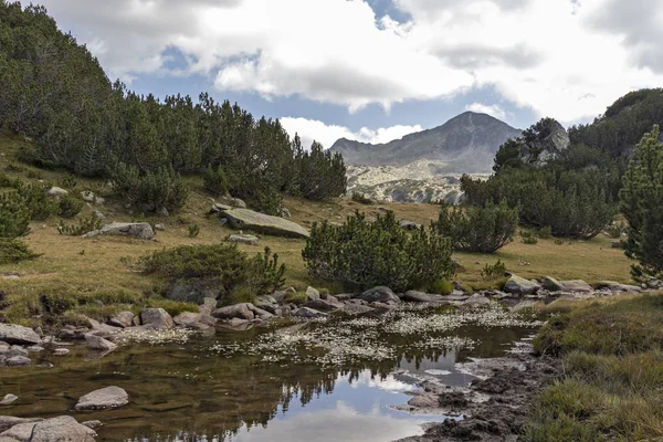 Horská řeka a Banderishki Chukar Peak, Pirin Mountain — Stock fotografie