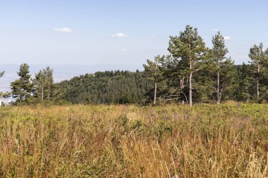 Bulgaristan 'ın Vitosha Dağı' nın sonbahar manzarası