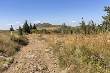 Bulgaristan 'ın Vitosha Dağı' nın sonbahar manzarası