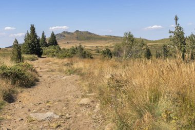 Bulgaristan 'ın Vitosha Dağı' nın sonbahar manzarası