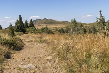 Bulgaristan 'ın Vitosha Dağı' nın sonbahar manzarası